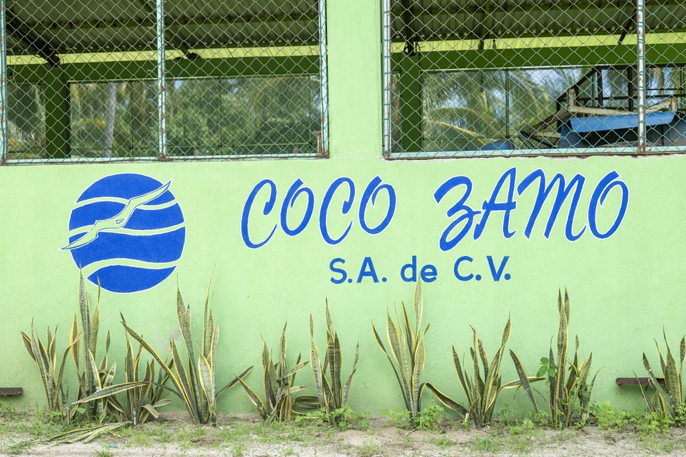 Logo principal